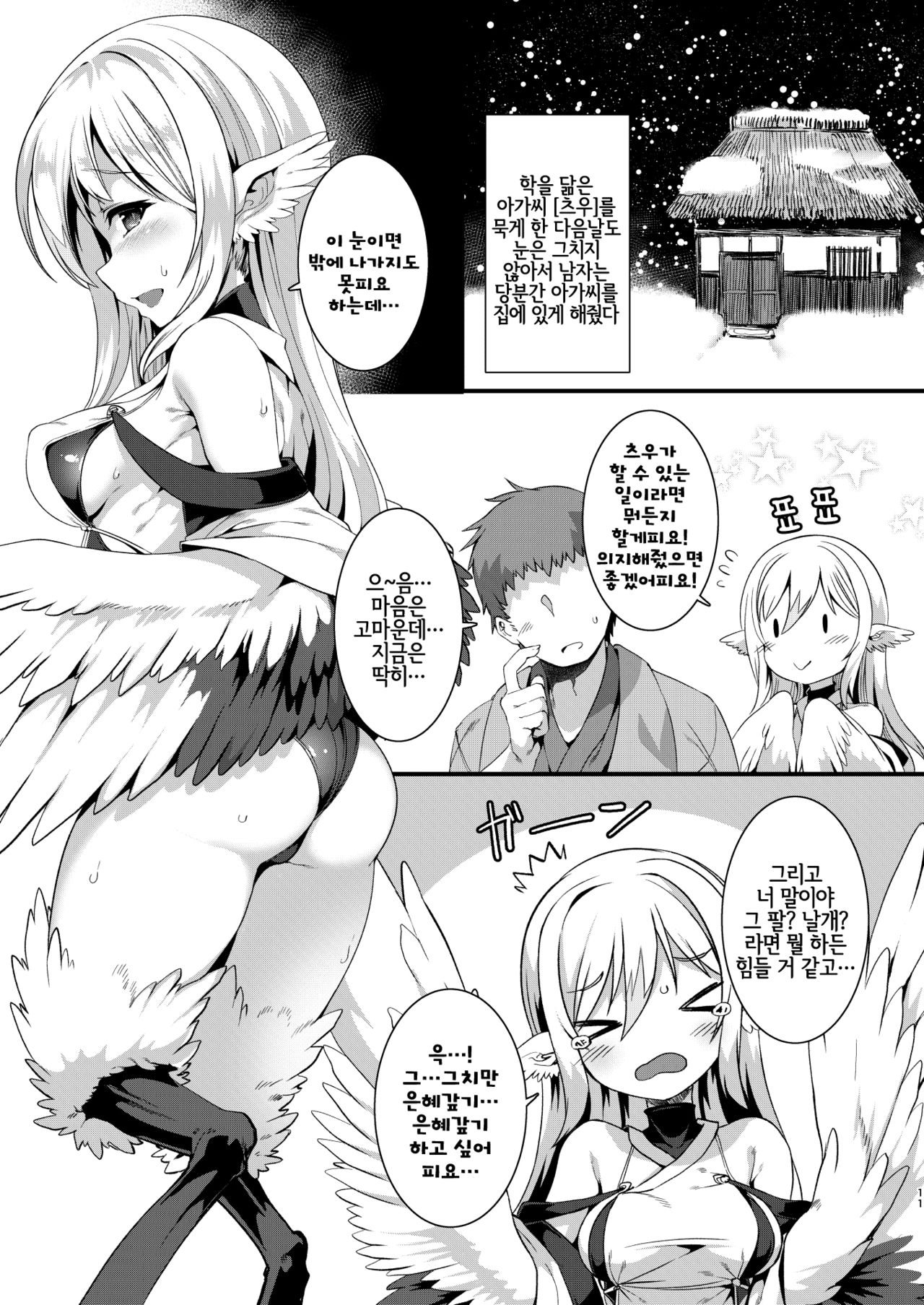 Tsuru Harpy no Ongaeshi + Kaijou Genteibon | 두루미하피의 은혜갚기 page 11 full