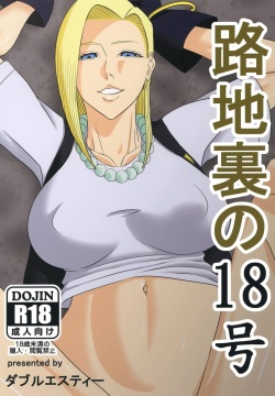 Rojiura no 18-gou | Back Alley Number 18