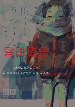 Sore wa Moroku, Utsukushikatta. | 그것은 여리고 아름다웠다.