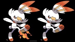 Pokémon : Scorbunny